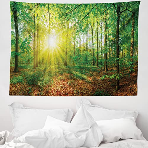 ABAKUHAUS Natur Wandteppich, Abendwiese Grönland aus Weiches Mikrofaser Stoff Waschbar ohne Verblassen Digitaldruck, 150 x 110 cm, Braun und Grün