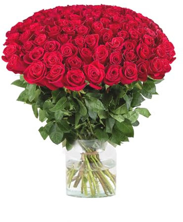 100 Rosen - Premium-Rosen Red Naomi (60cm) - echter Rosenstrauß mit 7-Tage-Frische-Garantie, handgebunden von Floristen, Blumenstrauß mit roten Rosen versenden, Blumenversand