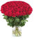 100 Rosen - Premium-Rosen Red Naomi (60cm) - echter Rosenstrauß mit 7-Tage-Frische-Garantie, handgebunden von Floristen, Blumenstrauß mit roten Rosen versenden, Blumenversand