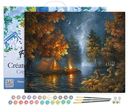 Figured'Art Pintar por Numeros Adultos con marco Camping bajo una cebada - Manualidades pintura acrilica Kit Cuadro DIY completo - 40x50cm con bastidor montado
