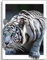 Instarry DIY 5D Diamond Painting Grand Format Tigre Blanc Tableau Decoration Murale Salon 90x60 cm