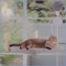 KAIMERCE Hamaca Gato Ventana - Cama Gato de Madera Plegable con Manta Reversible Invierno/Verano - Hamaca Gatos Ventana con 4 Ventosas - Cama Ventana para Gatos Cómoda y Duradera