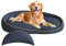 LELEFIDO XXL Orthopädisches Hundebett mit Kissen – Komfortables Hundesofa aus Memory Foam, Abnehmbarer & waschbarer Bezug – Hundebett für große Hunde, langlebig & gemütlich