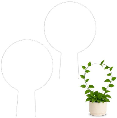 Rankhilfe Zimmerpflanzen 2 Stück Rankhilfe Rund, Pack Runde Pflanzengitter für Topfpflanzen, Rundgitter für Kletterpflanzen, Kleiner Metallkletterhalter für Topfpflanzenblumen