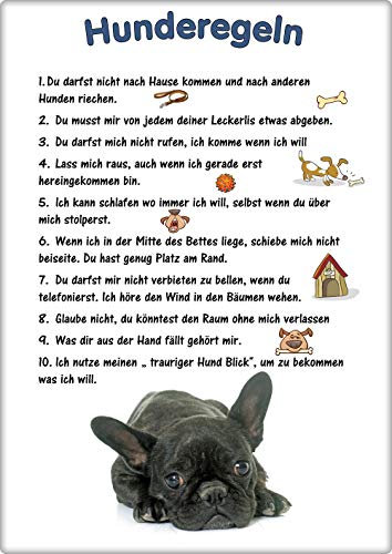 Blechschild/Warnschild/Türschild - Aluminium - 20x30cm - - Hunderegeln - Motiv: Französische Bulldogge - 05
