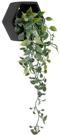 Atmosphera - Plante Artificielle Suspendue Ayame Pot Noir h14cm