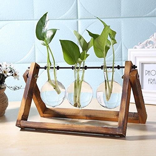 Glass Planter Bulb Vase, Desktop Air Plant Terrarium Kit with Retro Solid Wooden Stand, Plant Propagation Stations Terrarium for Indoor Water Plants Home Garden Office Decoration Accessories
