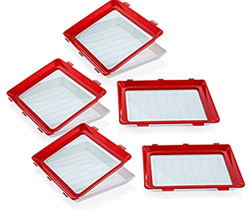 NAY Nalakey Food Preservation Tray Kreative Lebensmittelkonservierung Tablett stapelbar und wiederverwendbar Lebensmittelkonservierung Lebensmittelbehälter mit Kunststoffdeckel -BPA-frei (5pcs)
