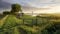 Puzzles For Adults 1000 Pieces The Broads National Park, Norfolk, England 75 * 50Cm
