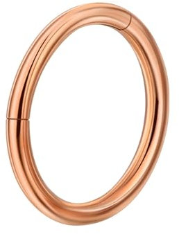 Lantine Nasenpiercing Ring Dünn Scharnier 316L Chirurgenstahl Segmentring Clicker Knorpel Piercing Rosegold 6mm 18G Nostril Piercing Forward Helix Piercing Schmuck