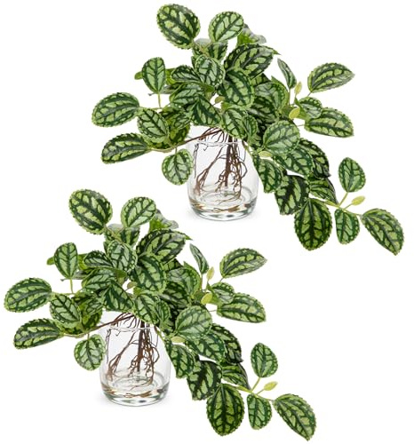 Arborus Kunstpflanzen Klein 22 cm Künstliche Zimmerpflanze wie Echt in Vase | 2 STK Grünpflanzen Dekopflanzen Aluminium-Pflanze Pilea Cadierei Esstisch Schreibtisch Regal Fensterbank Deko im Zimmer