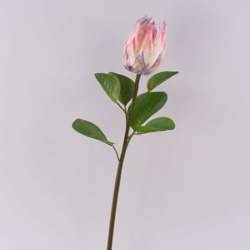 artplants.de Kunst Blumenzweig Königs-Protea TANIEKA, rosa-weiß, 70cm | Deko Protea