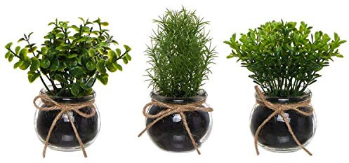 Vidal Regalos Dekorative Pflanze, 3 Modelle im Topf, Glas, 13 cm