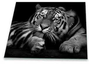 decorwelt | Herdabdeckplatte 60x52 cm Ceranfeldabdeckung 1-Teilig Universal Elektroherd Induktion für Kochplatten Herdschutz Deko Schneidebrett Sicherheitsglas Spritzschutz Glas Tiger