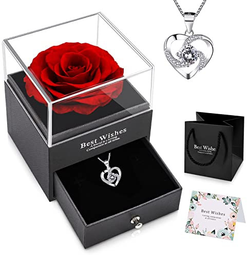 NEWUPZSI Rosa Eterna Rojo con Collana Regali San Valentino Regalo per Lui lei Fiori Stabilizzati Rosa Conservato Mai Appassito Idee Regalo Natale Donna Mamma Nonna Amica Coppia