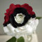 Somerway Rosenblumensamen zum Pflanzen, bunte gemischte Rosenblumensamen für den Garten, dekorative Bonsai-Samen-Pflanzentopfdekoration 50 Stück rote weiße schwarze Rose
