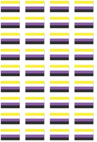 Aufkleber: 25x15 mm, 36 Stück - Flagge - Nonbinary/Nicht-binäre Pride - LGBTQ - für Auto, Laptop und mehr