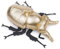 lilizzhoumax Plüschtier Goldener Käfer 25cm/10”, Simuliertes Tier Plüschtier Goldener Käfer Realistische Insekt-Plüsch Spielzeug für Wilde Tiere, Geschenk für Freunde und Kinder pelziges Stofftier