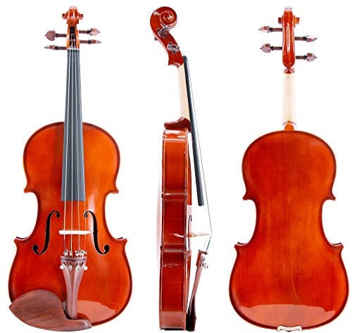 ffalstaff Viola 15,5 Massello Accademy Finitura Lucida, parti in Palissandro (Custodia Sagomata, colofonia e archetto di bona qualità) (39,4 cm)