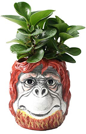Youfui Funny Planter Head Planter with Drainage Hole Resin Plant Pot Pencil Holder Desk Storage(Gorilla)