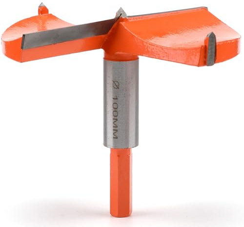 Forstner Drill Bit 100 mm with Guide, Wood Drill, Milling Drill, Art Drill with Hexagonal Shank, Branch Hole Drill, Hinge Drill for Wood and Hardwood