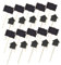 PRETYZOOM 20St Mini-Tafelkarten Gartenpflanzenmarker Zeichen garten etiketten Mini-Tafelschilder Markierungen für den Garten Tafel-Pflanzenmarker Etiketten für Gartenpflanzen Holz Black