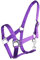 ARBO-INOX® Halfter mit Schiebeschnalle Stallhalfter Basic (Full, lila)