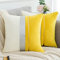 2er Set Samt Gelb Kissenbezug Weicher Solider Quadratischer Dekokissenbezug Gold Silber Leder Gestreifter Akzent Kissenbezug für Wohnzimmer Bett Sofa Couch Auto Stuhl Dekokissen 40 x 40 cm