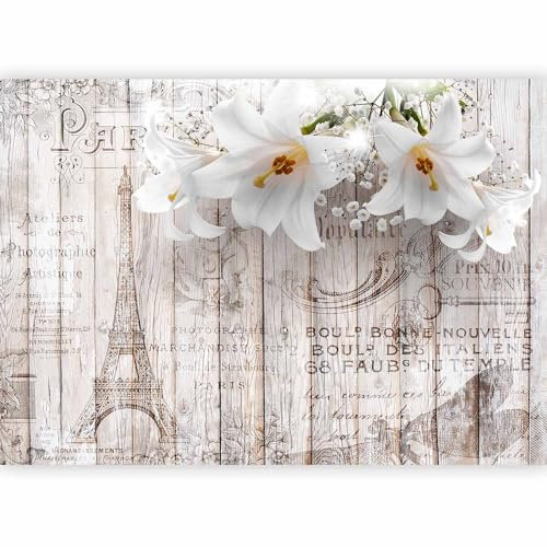 murando - Papier Peint Panoramique Adhésif Nature 245x175 cm - Murale Autocollante Décoration - Vert beige gris jaune - Bois france fleurs lys ville paris plantes tour eiffel b-C-0211-a-a