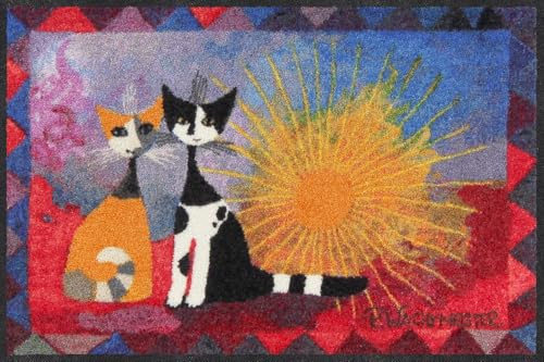 Salonloewe Fussmatte NOI Due I Schmutzfangmatte & Fußabtreter für Innen 50 x 75 cm