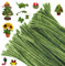 G2PLUS Sage Green Pipe Cleaners for Craft, 30cm Long Crafting Pipe Cleaners for Christmas Craft, 6mm Chenille Stem for DIY, 100PCS Pipe Cleaners for Christmas Tree Project Decoration