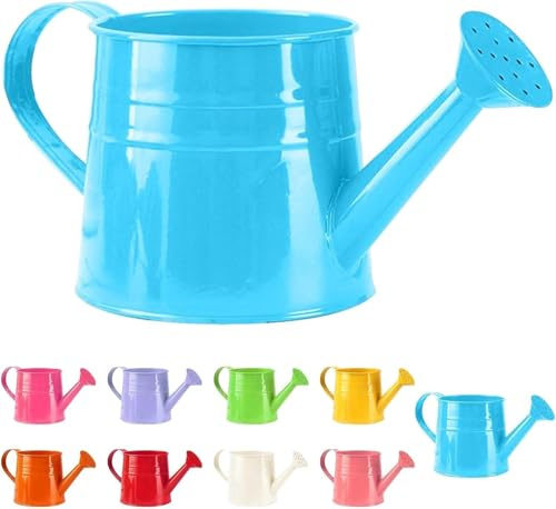 Small Watering Can for Indoor Plants, Mini Houseplant Watering Can with Handle, for Indoor/Outdoor Garden Home Plants(1pc)
