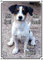Petsigns Hundeschild - Jack Russel Terrier - uv-beständiges Warnschild aus Metall - Jackie, DIN A4
