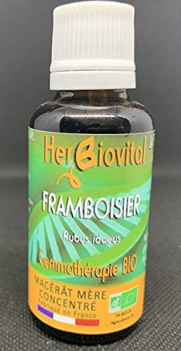 Herbiovital - Framboisier Bio - Le Macérât du cycle féminin - Gemmothérapie Concentrée - 30 ml - Participe activement au bon équilibre hormonal de la femme - Fabriqué en France