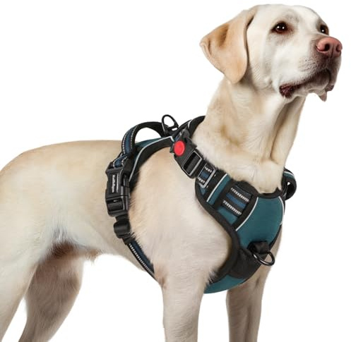 rabbitgoo Hundegeschirr Grosse Hunde Leichtes Anlegen, L, Türkisblau | Anti Zug, Ohne Kopfdurchzug, Halsverschluss mit Sicherung, 2 D-Ringe, Weich Gepolstert, Reflektierend für Gassi & Training