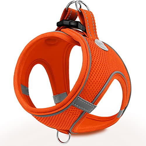 Joytale Hundegeschirr, Reflektierend Weich Gepolstert Hunde Geschirr, Air-Mesh Atmungsaktiv Brustgeschirr für Welpen, Kleine Hunde, XS, Orange