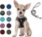 Hundegeschirr Set mit Leine für kleine Hunde - Brustgeschirr ausbruchsicheres Katzengeschirr Welpengeschirr Step-In Geschirr für kleine Hunde, Welpen, Katzen XS Tarngrün