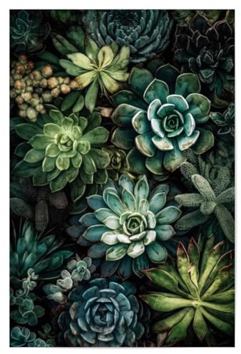 artboxONE Poster 30x20 cm Natur Sukkulenten und Kakteen R - Bild sukkulenten Blumen Blumen