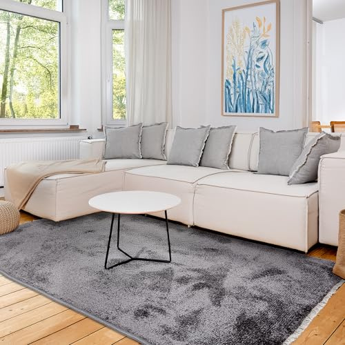 Astra Hochwertiger Teppich Wohnzimmer, Schlafzimmer - Kuscheliger Kurzflorteppich weich - Einfarbiges Flachgewebe für Innen - Teppich Anthrazit, 80x150 cm