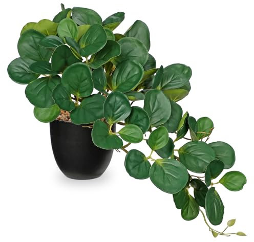 Hollyone Artificial Plants in Black Pots, Fake Peperomia Obtusifolia Decorative Faux Potted Plants, Realistic House Plant Indoor for Home, Bathroom, Living Room, Kitchen, Shelf, Office Decorations