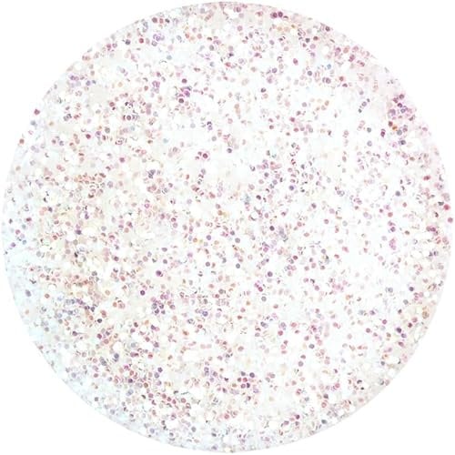 Eulenspiegel 907573 - Bio Glitter Perlmutt, 6 g, biologisch abbaubar, Glitzer für Gesicht & Körper