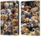 Head Case Designs sous Licence Officielle D.S. Valori Rêves De Chiots Kitty Et Chiot Étui Portefeuille en Cuir Compatible avec Apple iPad Mini (2021/2024)