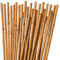 50 Tutores de Bambú para Plantas 120 cm Ø10-12 mm – Estacas para Tomateras, Cañas para Jardín y Huerto, Palos de Bambú Ideal Macetas, Soporte Resistente Tomates, Varillas Pepinos y Flores.