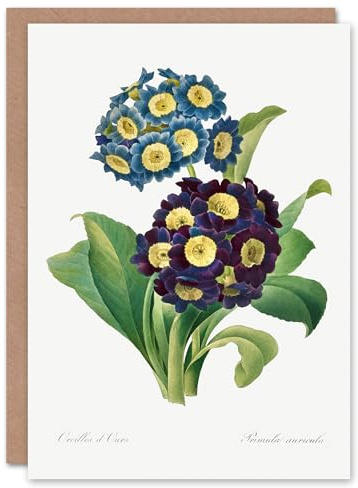 Artery8 Pierre-Joseph Redouté Art Card Vintage Floral Primula Auricula