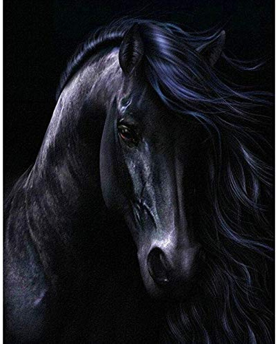 Yingxin34 Puzzle 5000 Teile Schwarzes Pferd Jigsaw Spiel Erwachsene Kinder Familie Dekompression Spielzeug-61.61x41.53 Zoll (156.5 x 105.5cm)