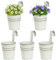 BOFUNX 5 Maceteros Colgantes de Hierro de Metal Macetas Pequeñas Colgar con Gancho con Orificio de Drenaje de Color Beige Vintage para Decoración Exterior Balcón Jardín Patio Pared Terraza