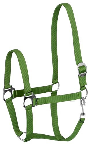 Start Economic Halfter für Pferde – Verstellbares Nylon-Stallhalfter mit Karabiner – Robust & Komfortabel – Weiches, schmutzabweisendes Material (Hellgrün, Full (Warmblut))