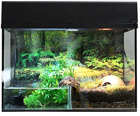 Lucky Reptile Starter Kit Bombina/Pacman, Farbe:Weiß, Terrarienmaße (B/T/H):80 x 40 x 52 cm