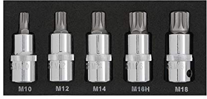 BlueSpot 5PCE 1/2 Spline Bit Set (M10-M18) (EVA Foam)