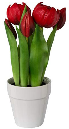 Kunstpflanze, Blume TULPE ca 25 cm. Im Keramiktopf weiß. Künstliche REAL Touch Tulpen getopft. ROT. Art.: 3020301-01